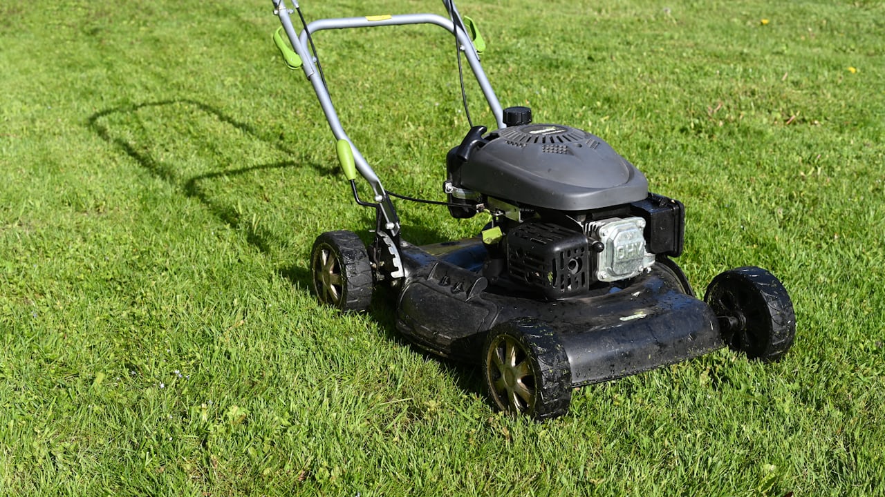 Healthy, green turf maintained week after week